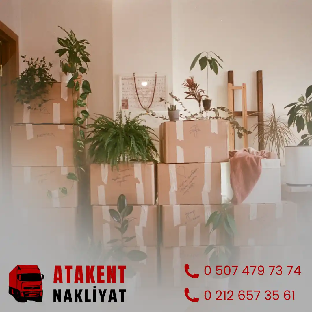 Eyüpsultan Evden Eve Nakliye