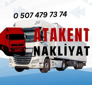 Bayramiç Evden Eve Nakliyat