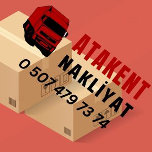 Bayramiç Evden Eve Nakliye Firması