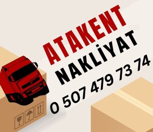 Bayramiç Evden Eve 