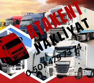 Pehlivanköy Ev Taşıma